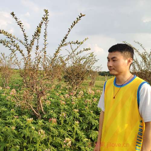 37岁岁广东单身帅哥 - 新乡吉缘网